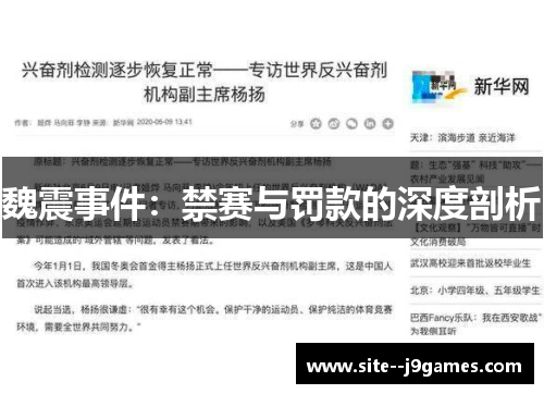 魏震事件：禁赛与罚款的深度剖析